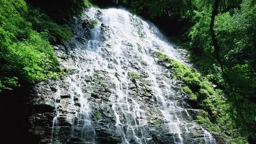 高端绿色